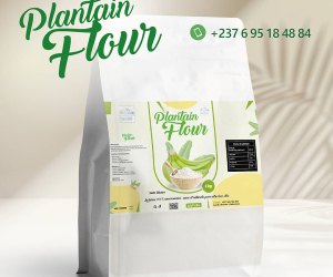 Farine de plantain