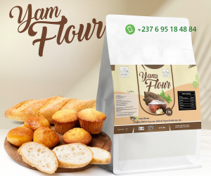 Farine d'igname