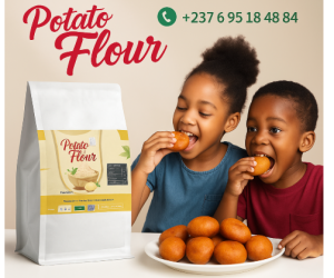Farine de patate