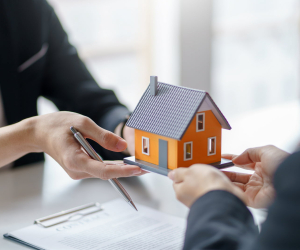 immobilier